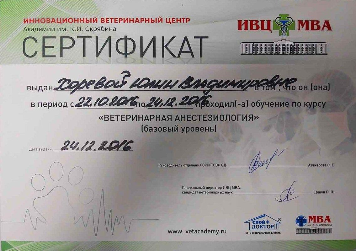 Документ или сертификат