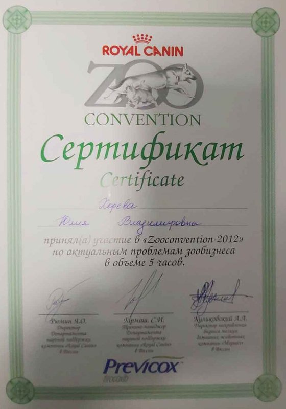 Документ или сертификат