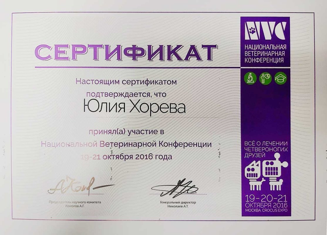 Документ или сертификат