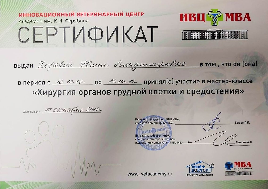 Документ или сертификат