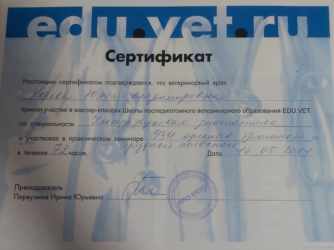Документ или сертификат