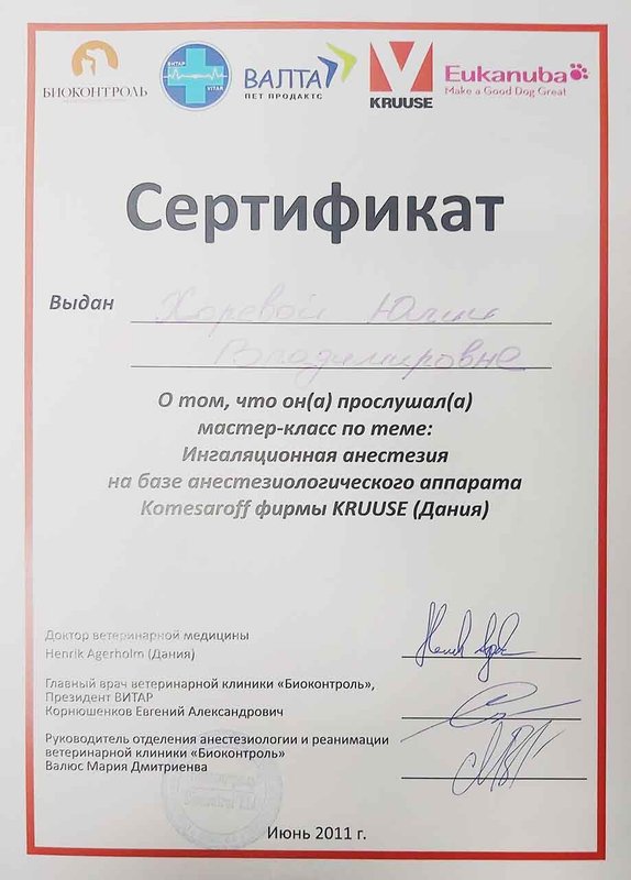 Документ или сертификат