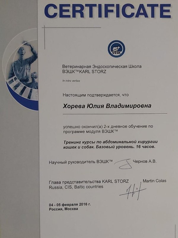 Документ или сертификат