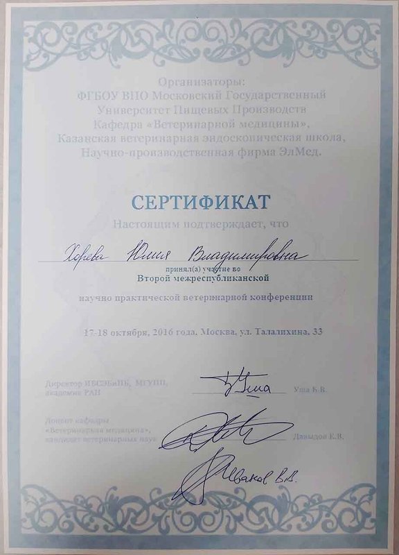 Документ или сертификат
