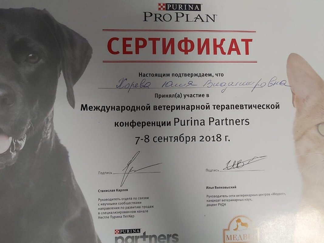 Документ или сертификат