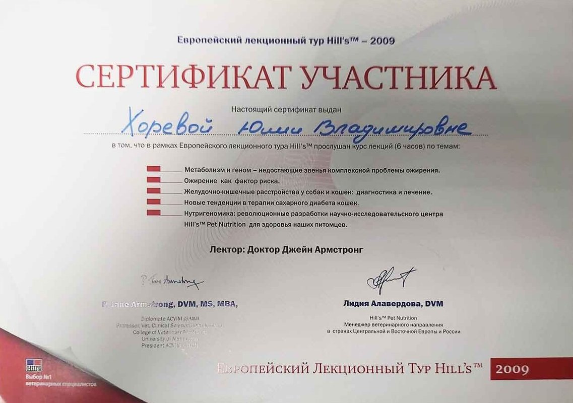 Документ или сертификат