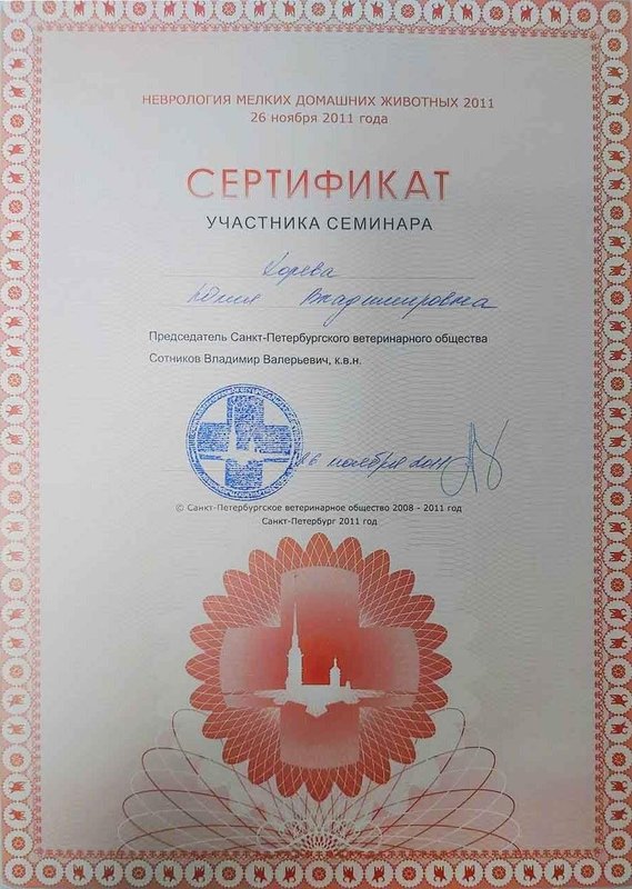 Документ или сертификат