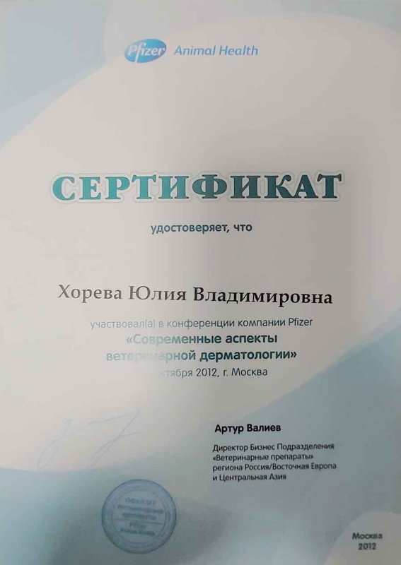 Документ или сертификат