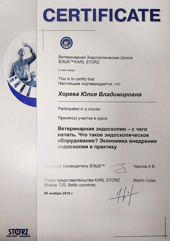 Документ или сертификат