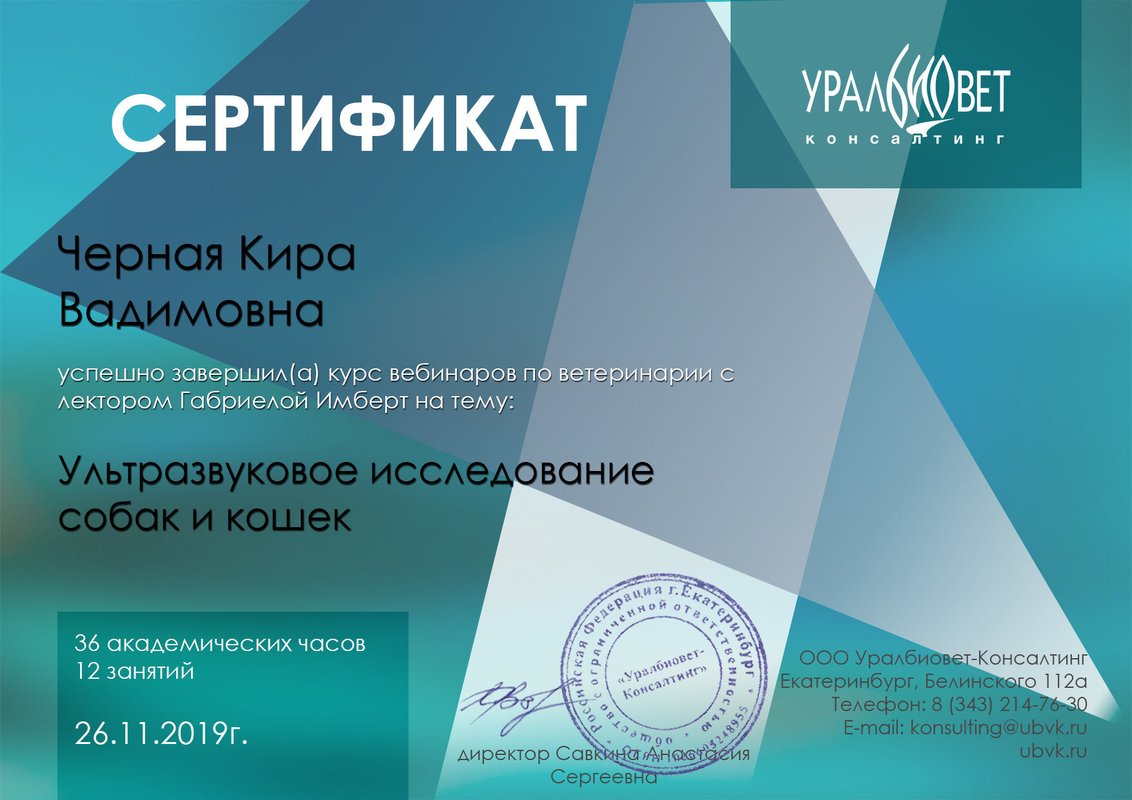 Документ или сертификат