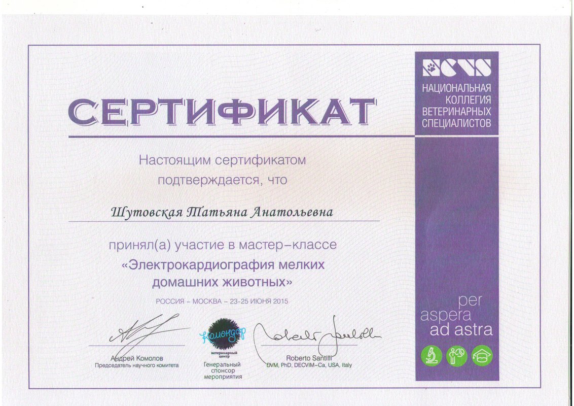 Документ или сертификат