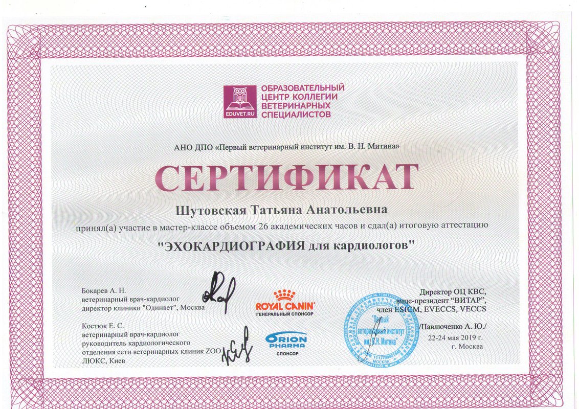 Документ или сертификат