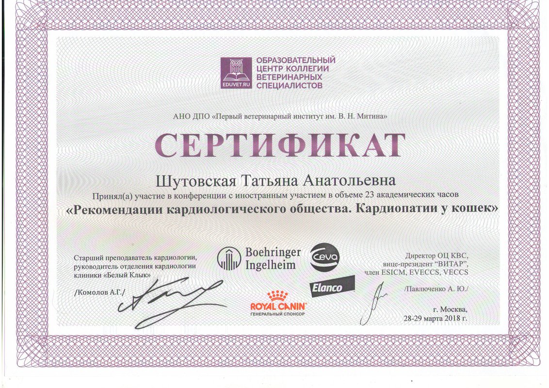 Документ или сертификат