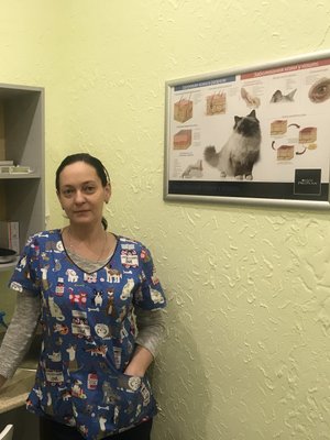 Фото врача Василец Наталия Васильевна