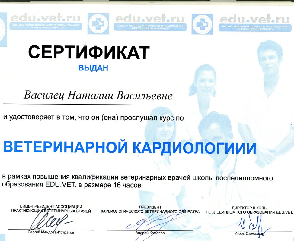 Документ или сертификат