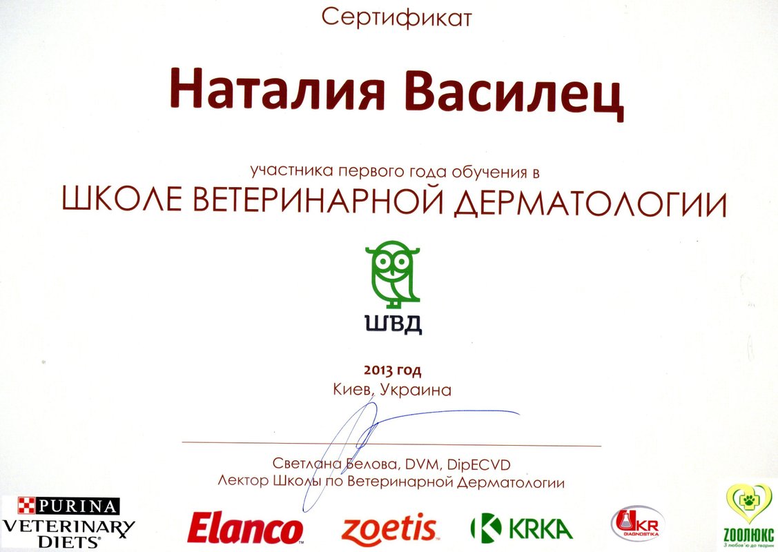 Документ или сертификат