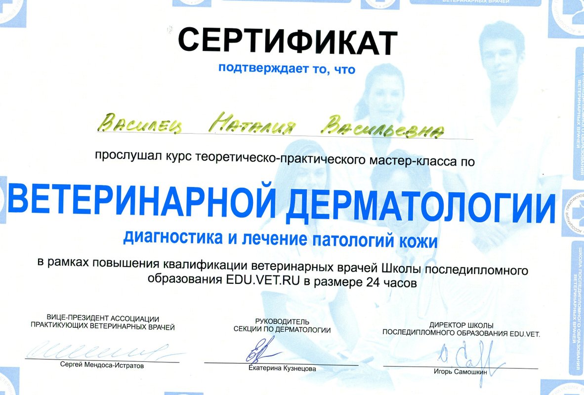 Документ или сертификат