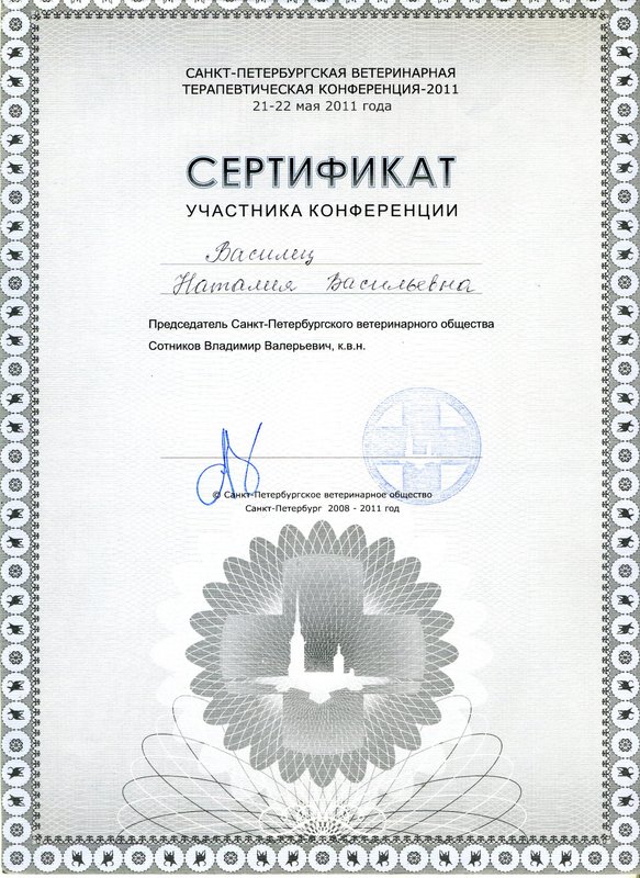 Документ или сертификат