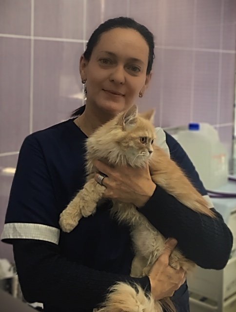 Фото врача