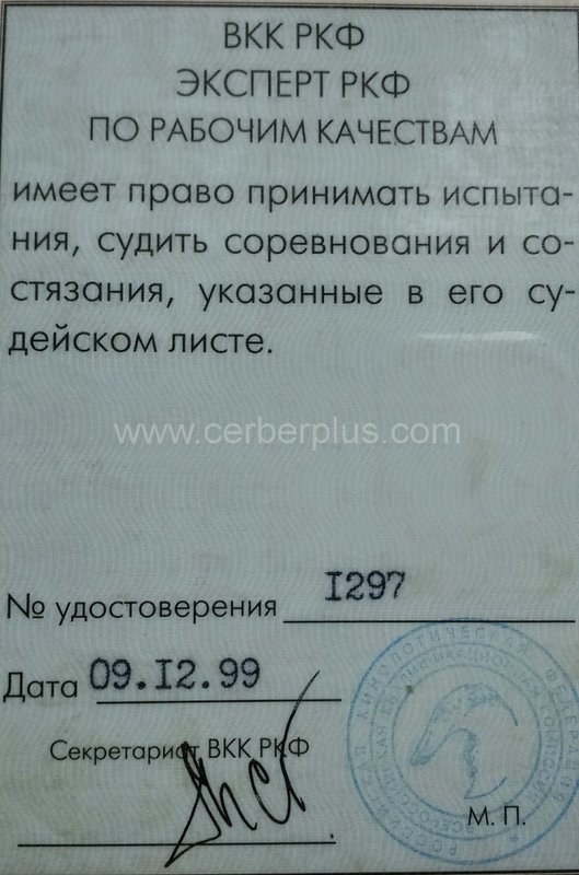 Документ или сертификат