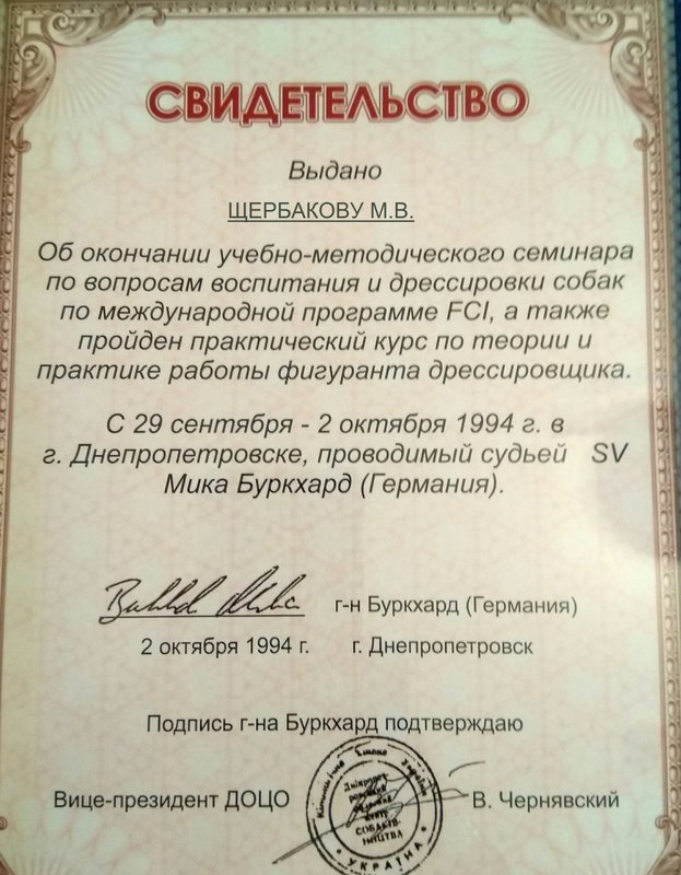 Документ или сертификат