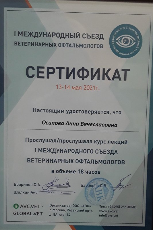 Документ или сертификат