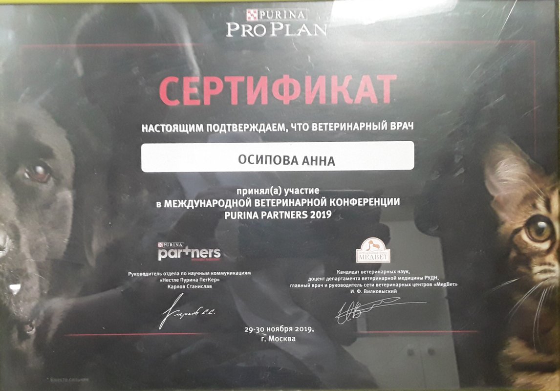 Документ или сертификат