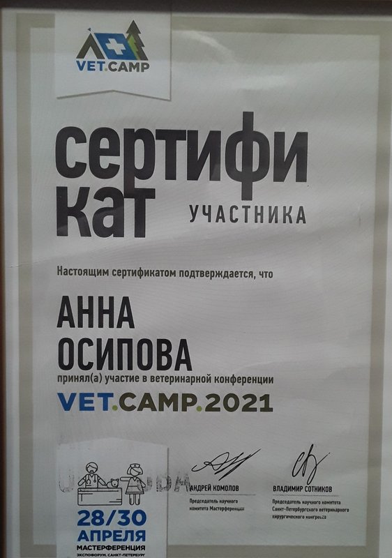 Документ или сертификат