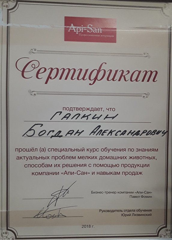 Документ или сертификат
