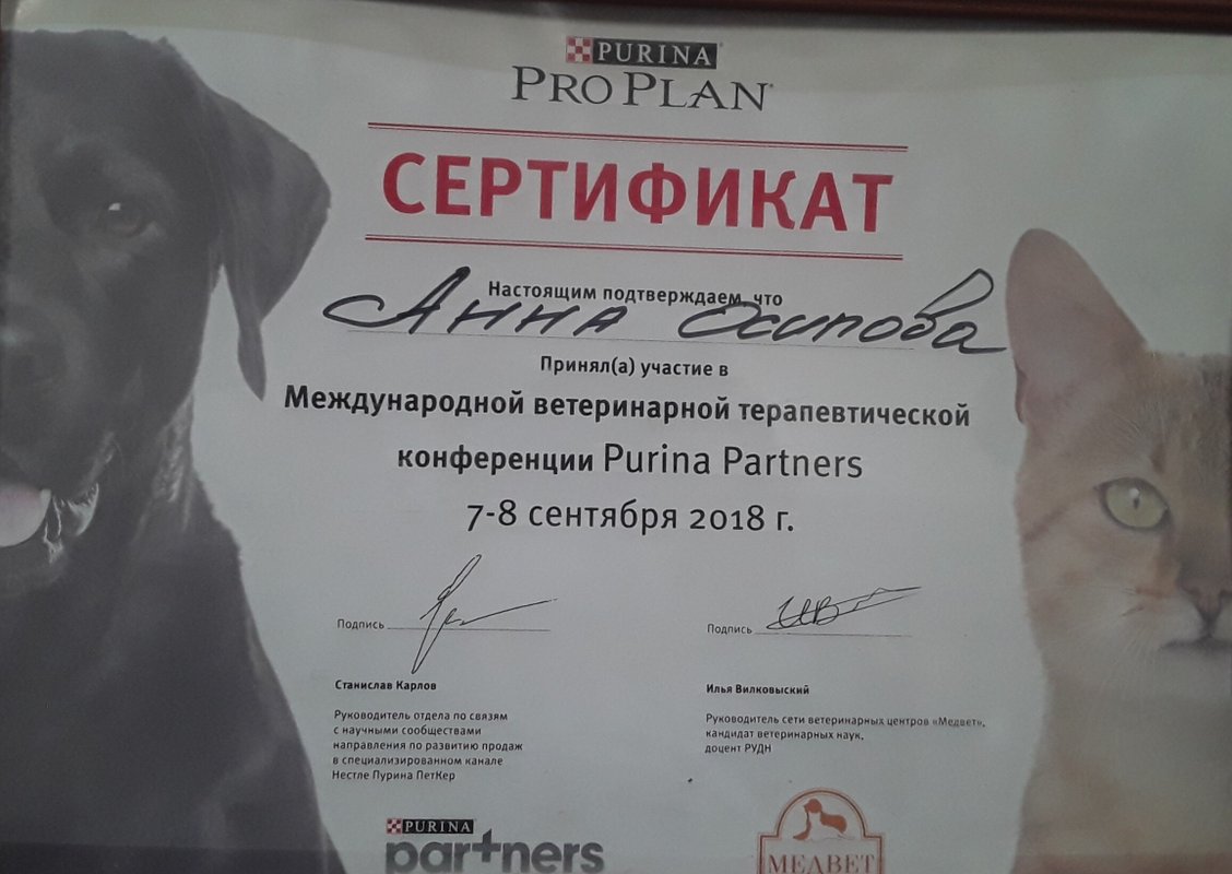 Документ или сертификат