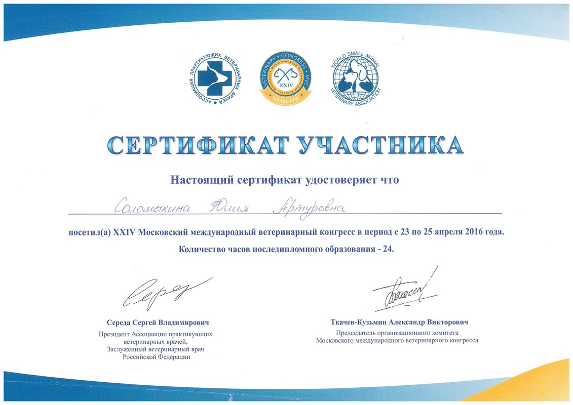 Документ или сертификат
