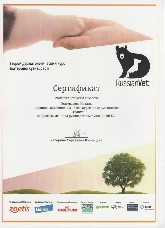 Документ или сертификат