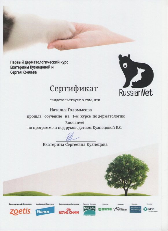 Документ или сертификат