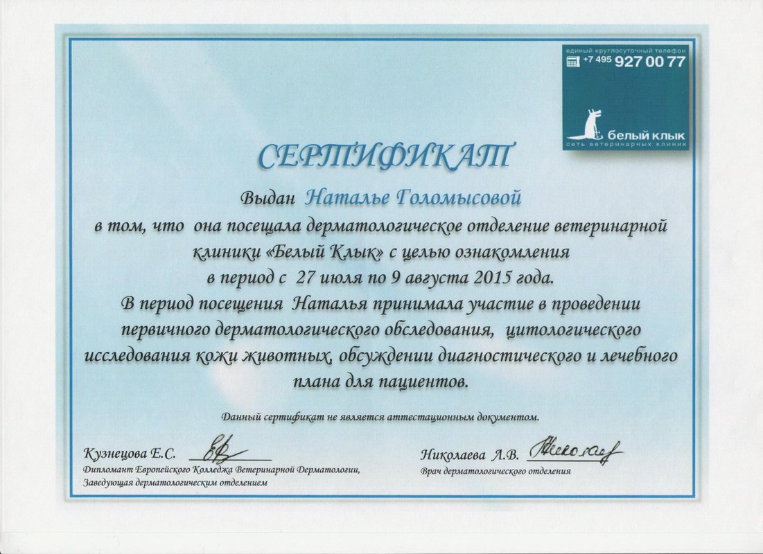 Документ или сертификат