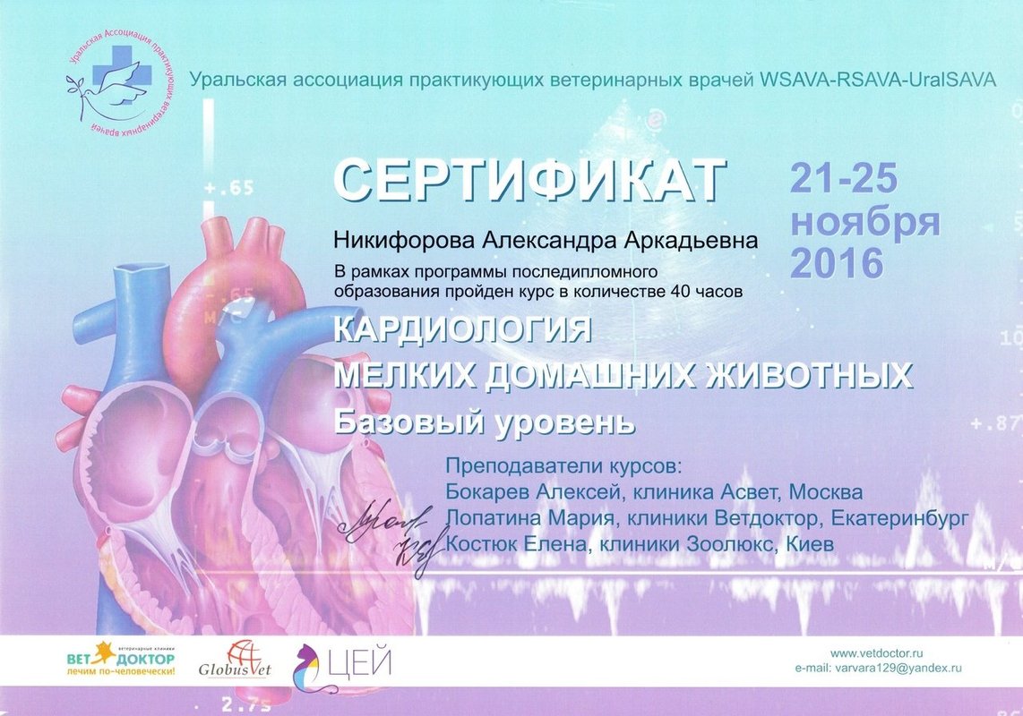 Документ или сертификат
