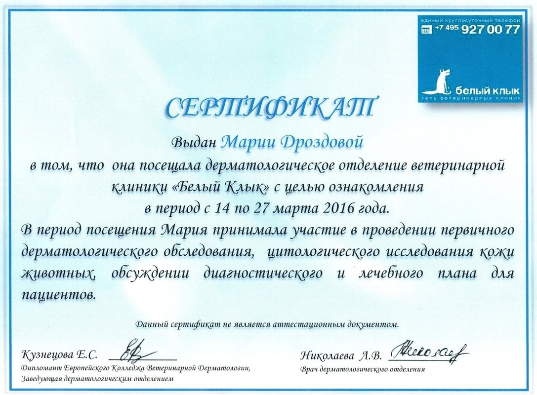 Документ или сертификат