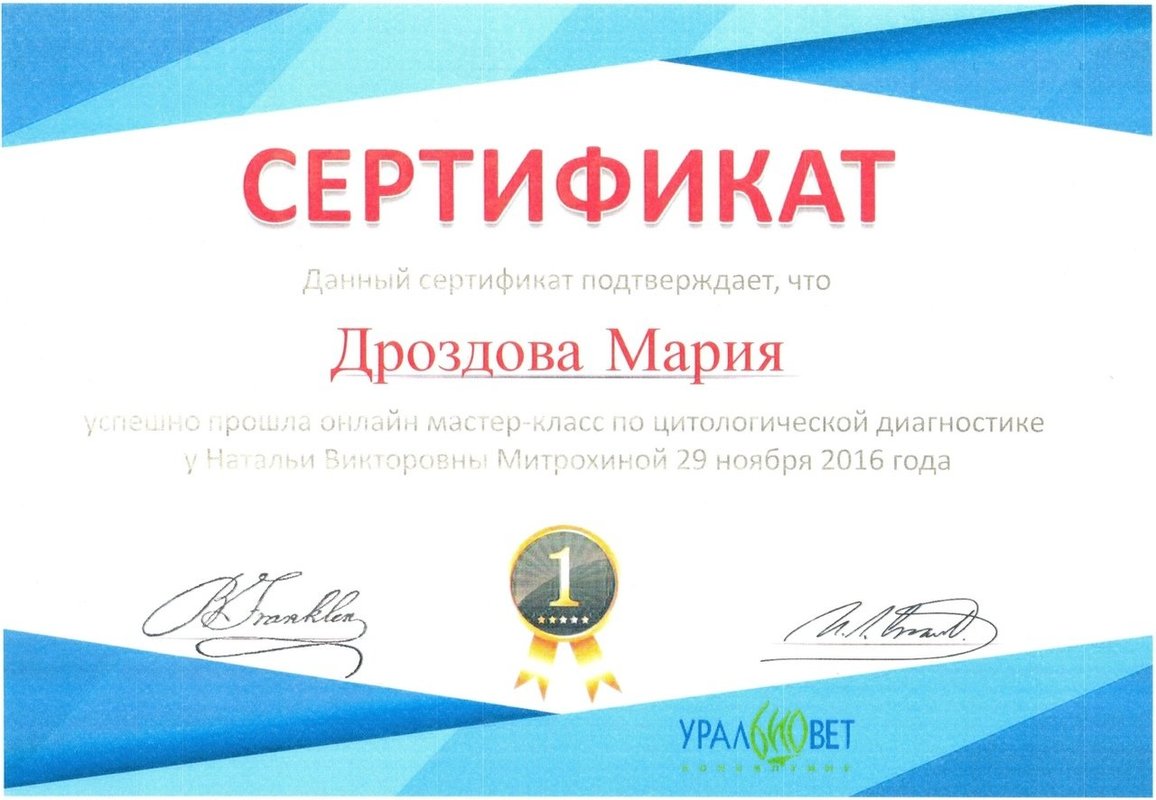 Документ или сертификат