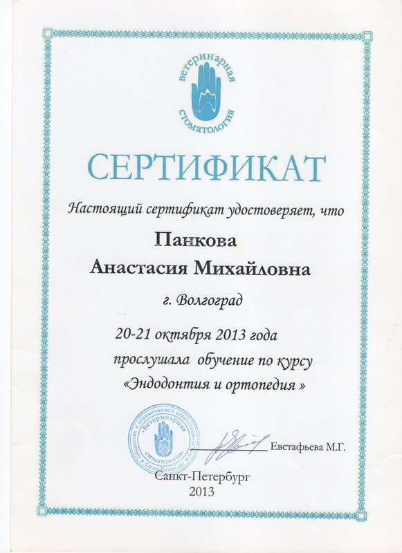 Документ или сертификат