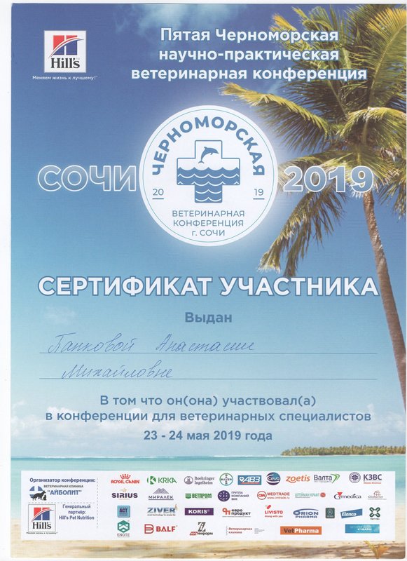 Документ или сертификат