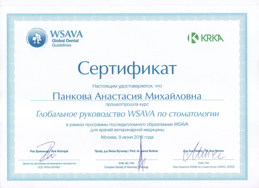 Документ или сертификат