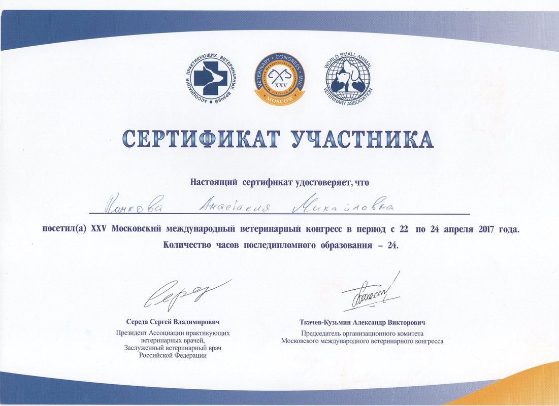 Документ или сертификат