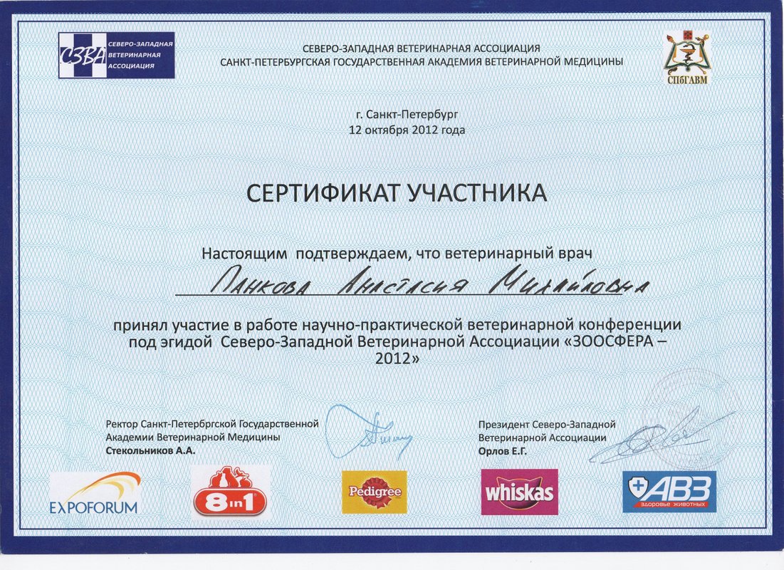 Документ или сертификат