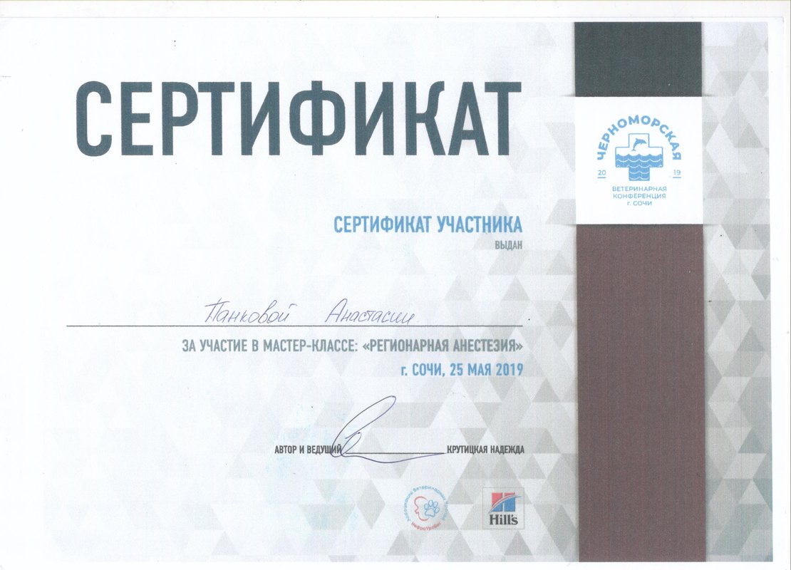 Документ или сертификат