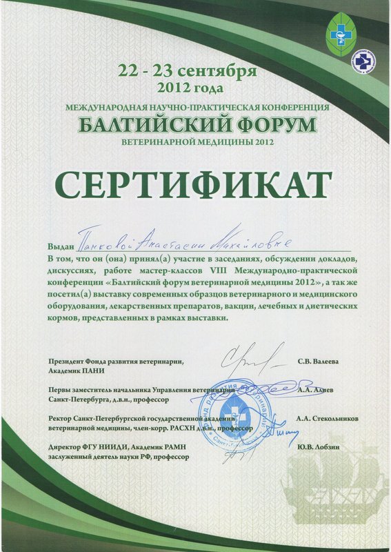 Документ или сертификат