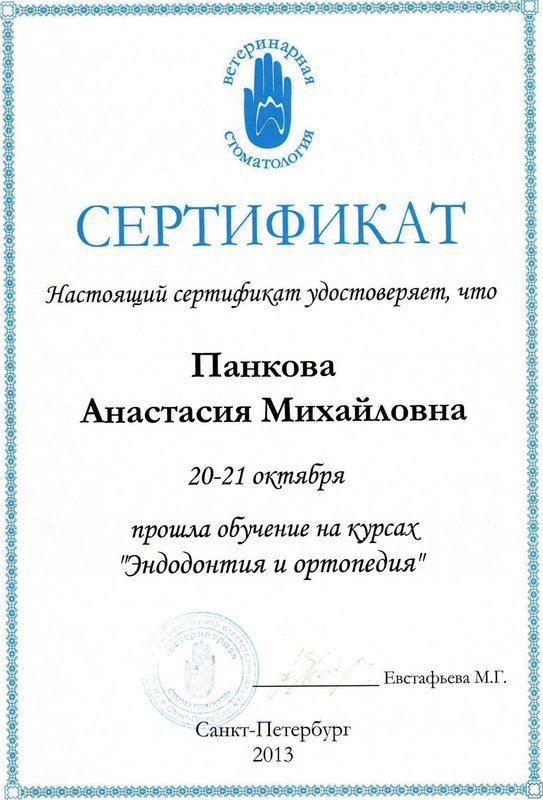 Документ или сертификат