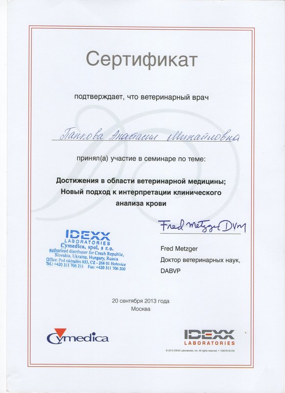 Документ или сертификат