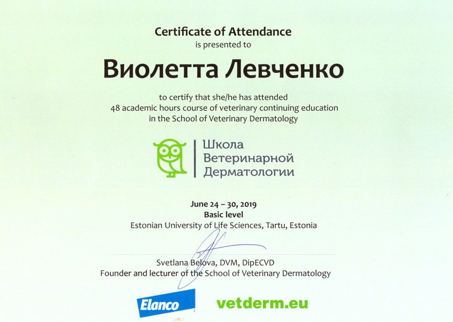 Документ или сертификат