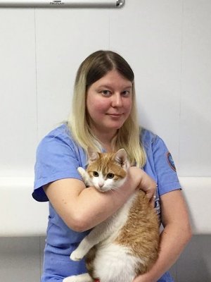Фото врача Стеценко Полина Вадимовна