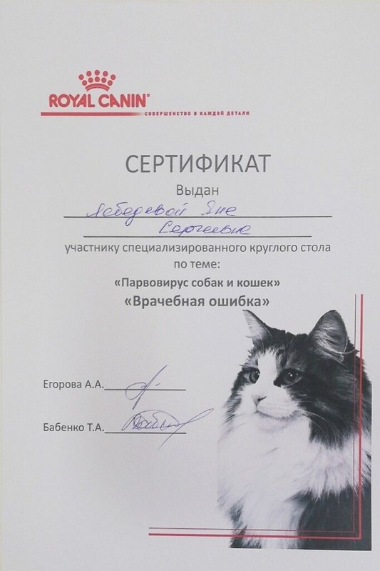 Документ или сертификат