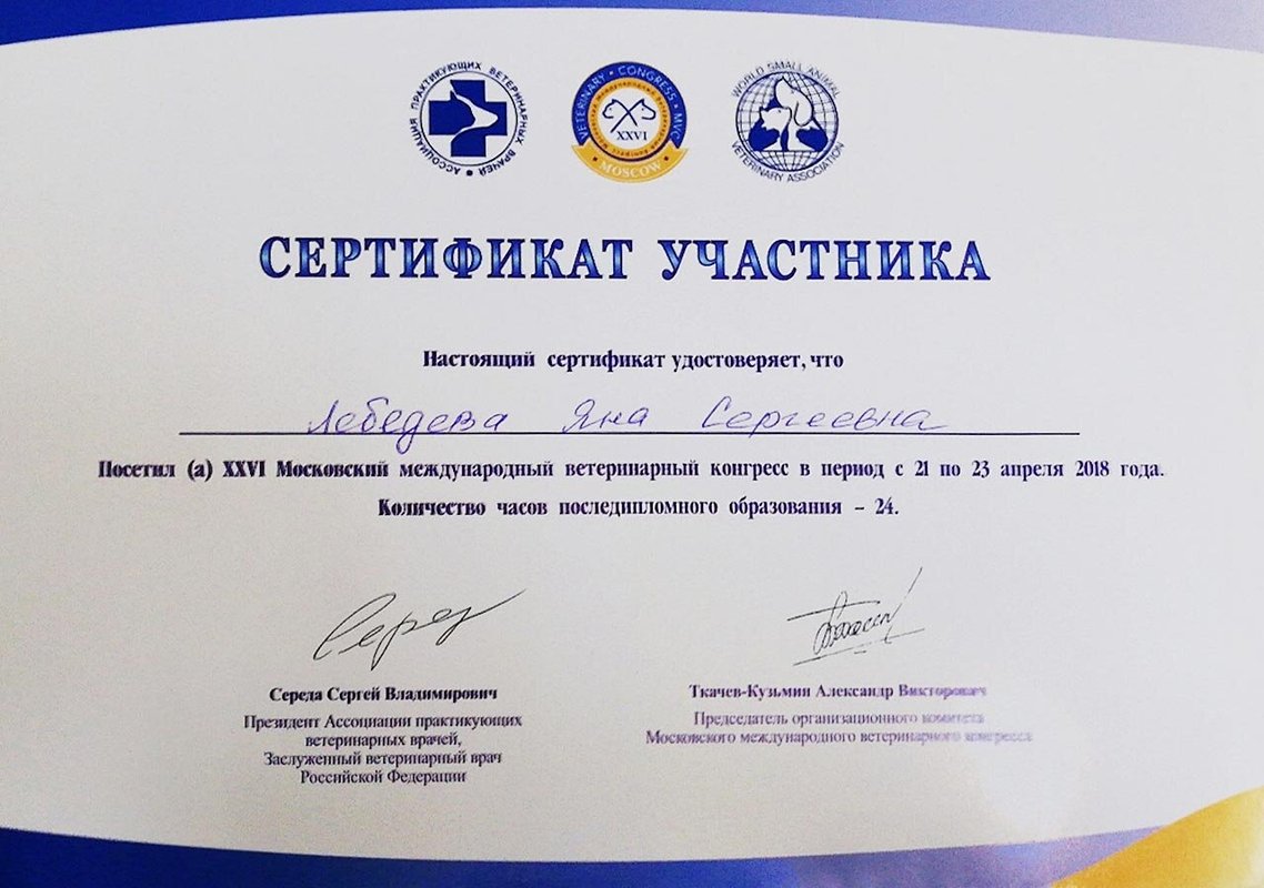 Документ или сертификат